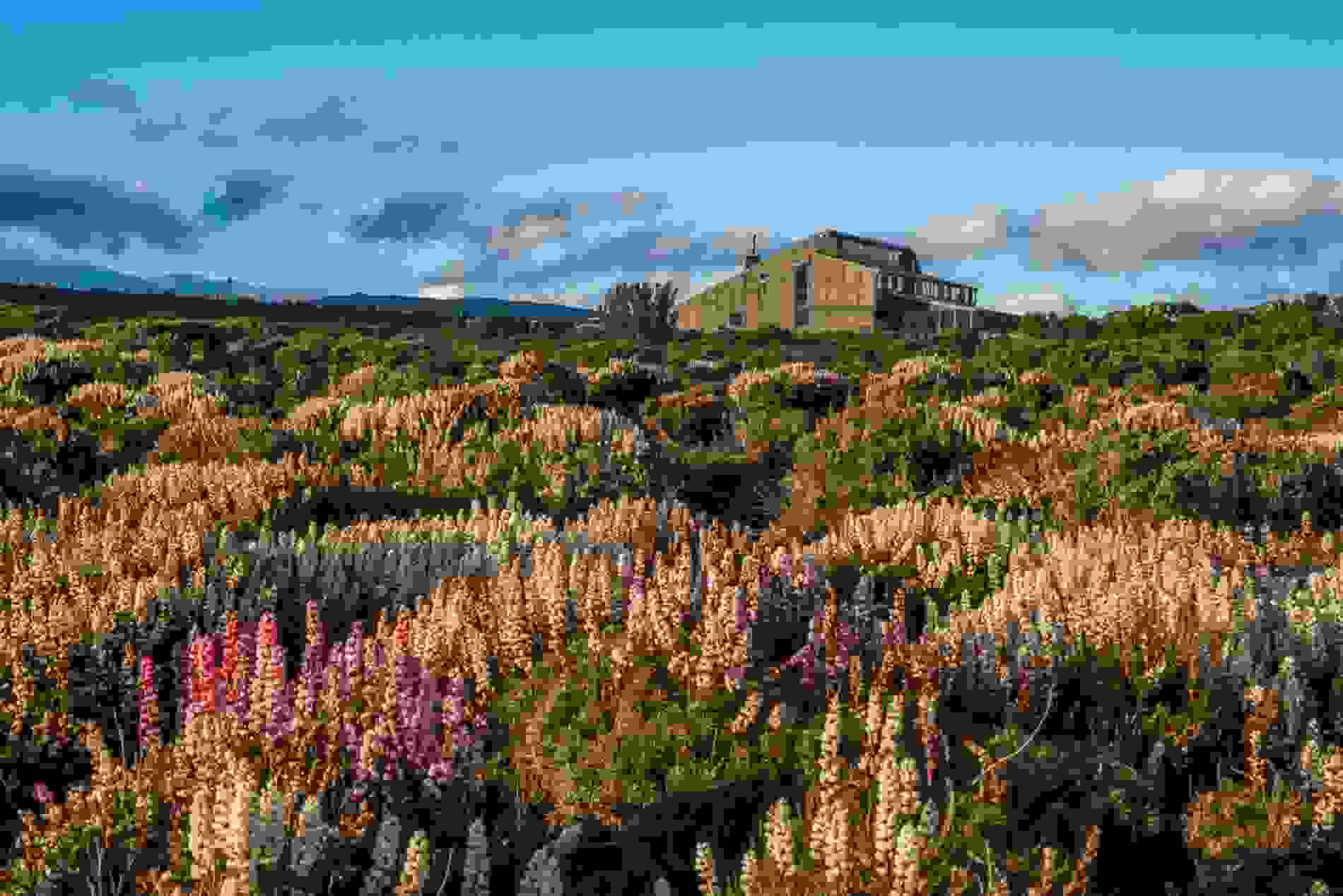 Wilderness Lodges