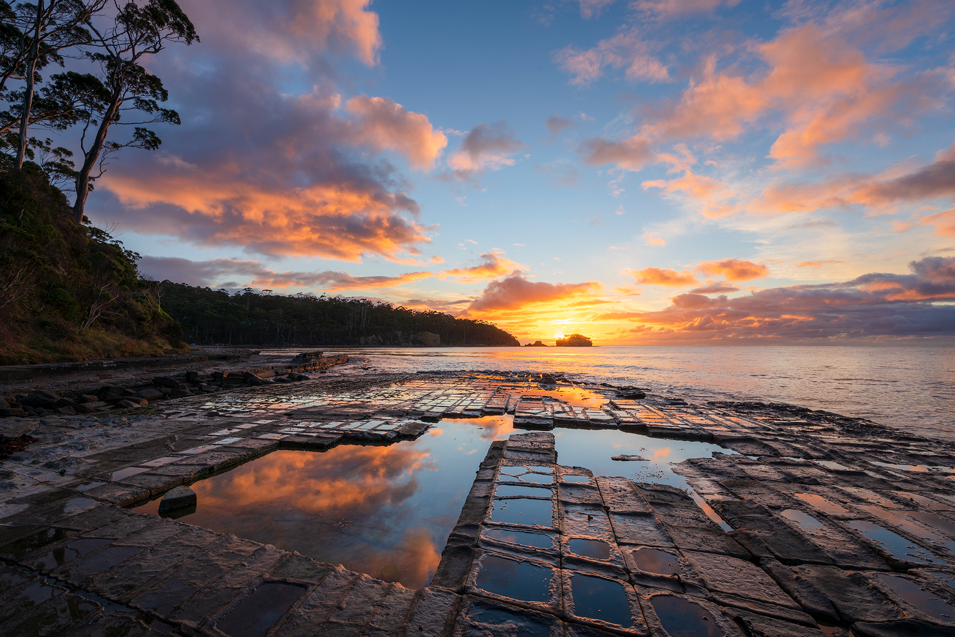 Travelling with Tasmanian Odyssey