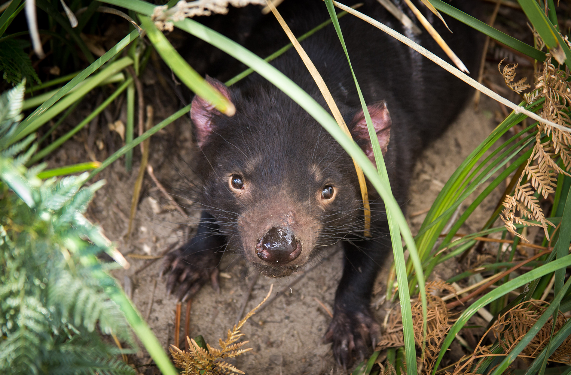 Your Trip Makes a Difference