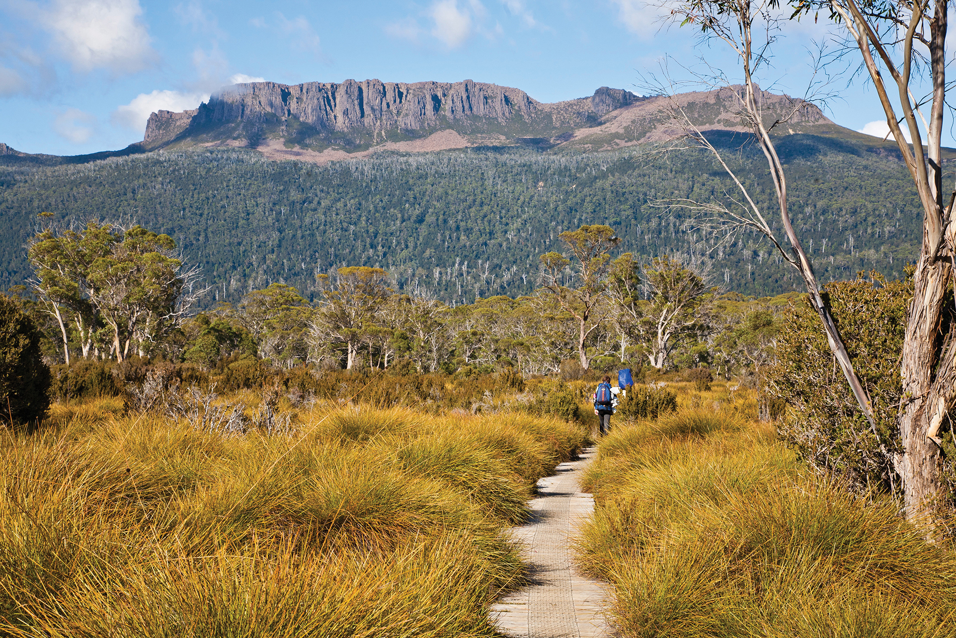 Top Tassie Travel Tips