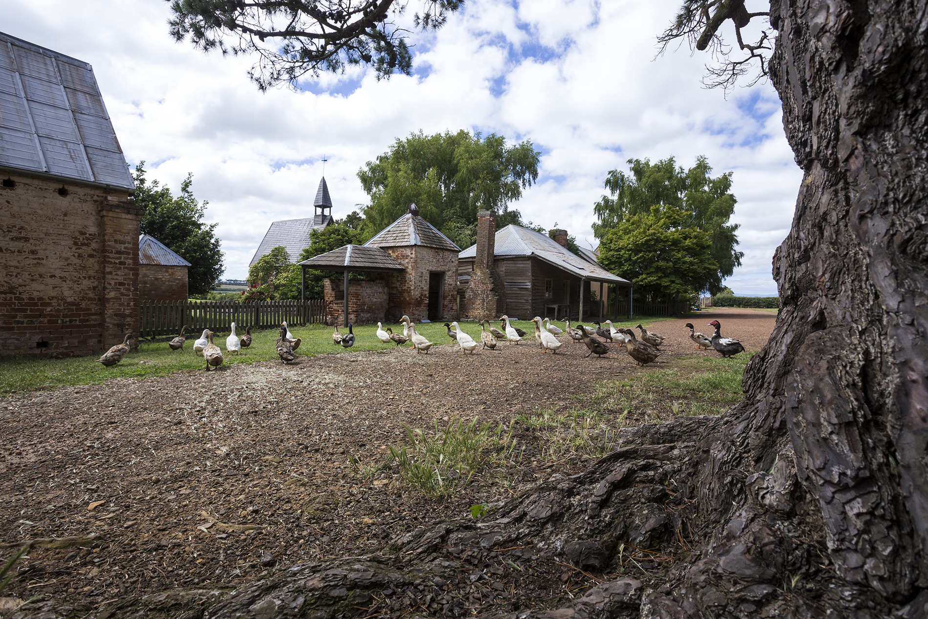 Brickendon and Woolmers Estates